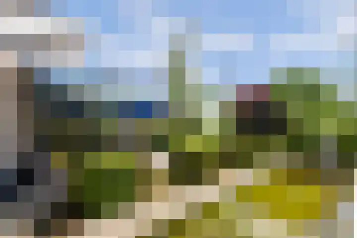 Nachtegaal 27 Boxmeer thumbnail 65