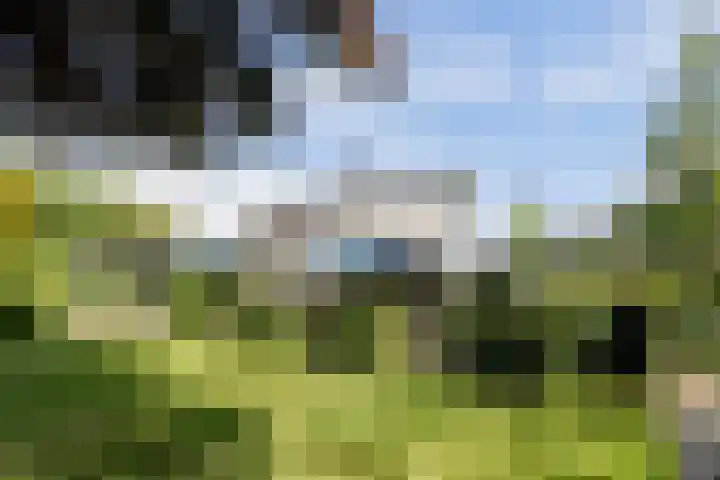 Nachtegaal 27 Boxmeer thumbnail 66
