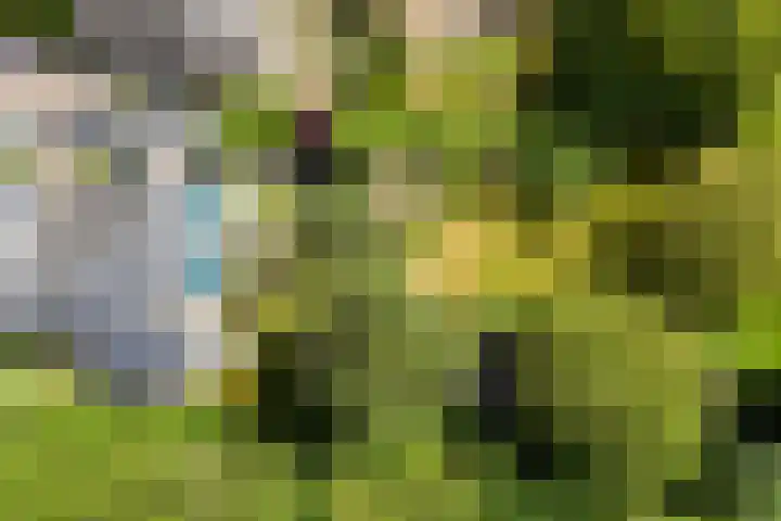 Nachtegaal 27 Boxmeer thumbnail 67