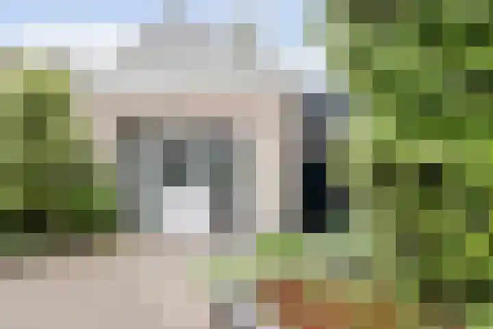 Nachtegaal 27 Boxmeer thumbnail 7