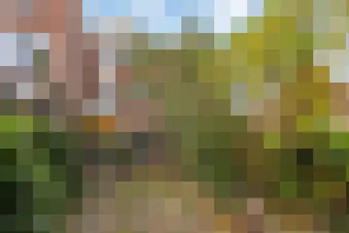 Nachtegaal 3 Nieuwegein thumbnail 23