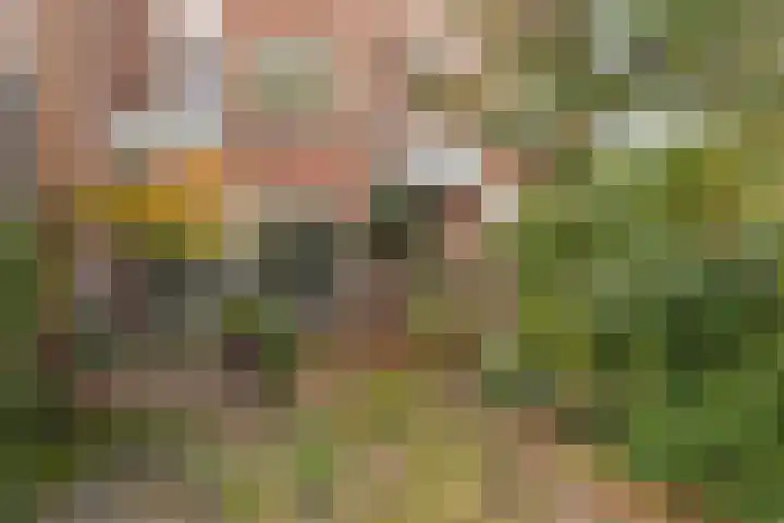 Nachtegaal 3 Nieuwegein thumbnail 24