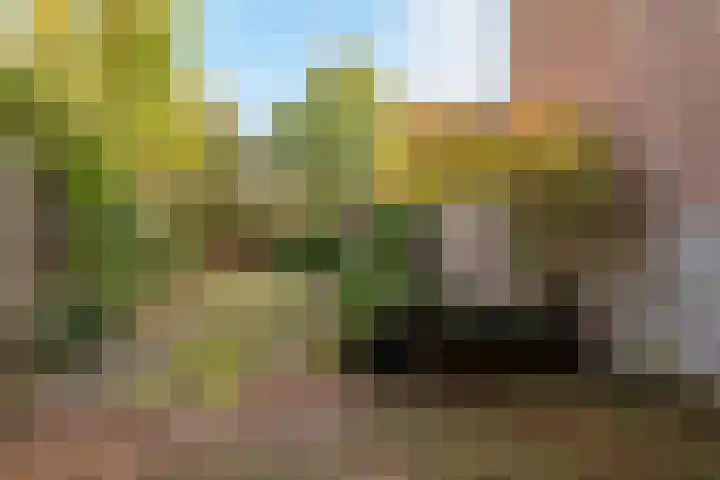 Nachtegaal 3 Nieuwegein thumbnail 25