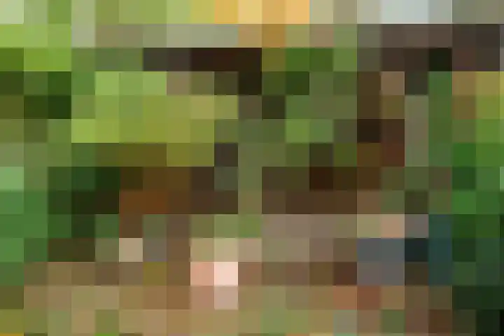 Nachtegaal 3 Nieuwegein thumbnail 26