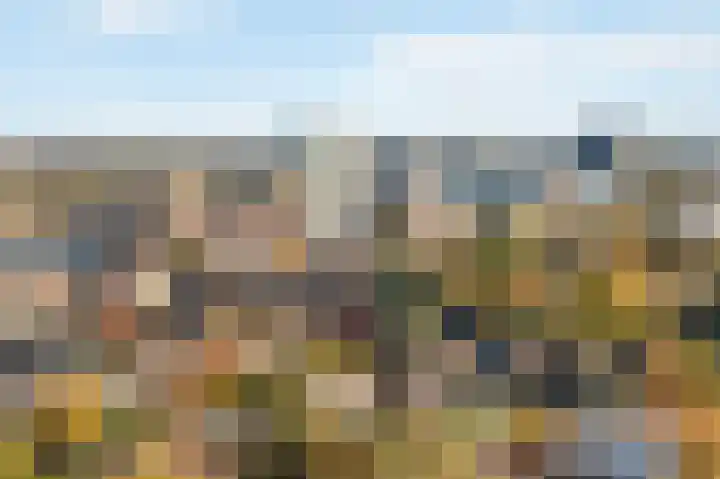 Nachtegaal 3 Nieuwegein thumbnail 28