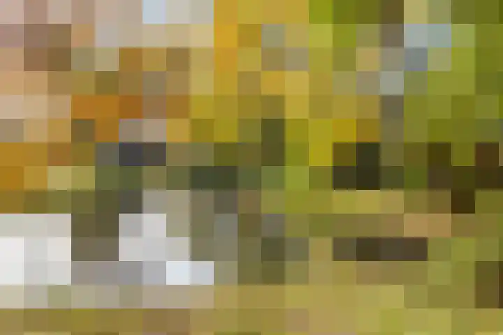 Nachtegaal 3 Nieuwegein thumbnail 29
