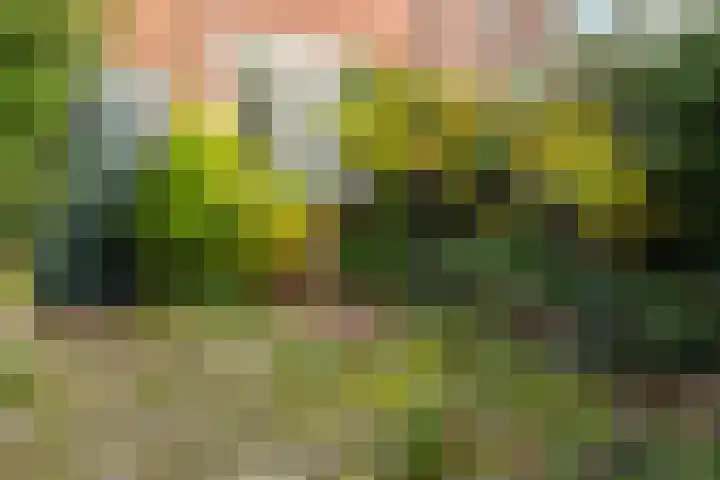Nachtegaal 3 Nieuwegein thumbnail 5