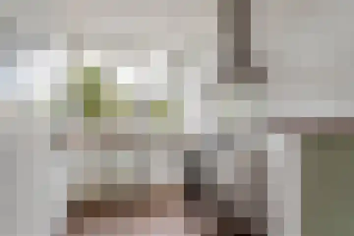 Nachtegaal 3 Nieuwegein thumbnail 9