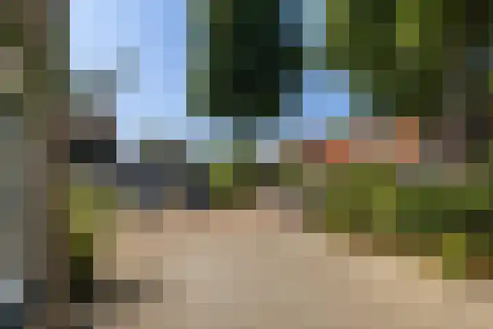 Nachtegaal 37 Wijk bij Duurstede thumbnail 10