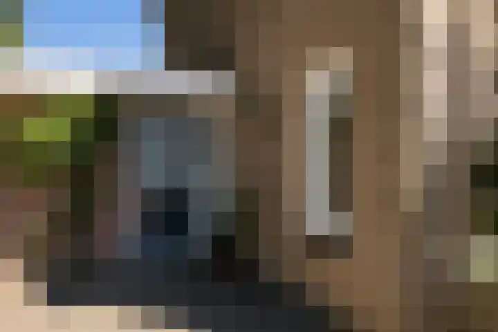 Nachtegaal 37 Wijk bij Duurstede thumbnail 11