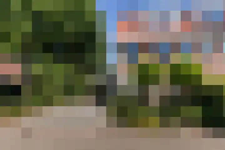 Nachtegaal 37 Wijk bij Duurstede foto 2