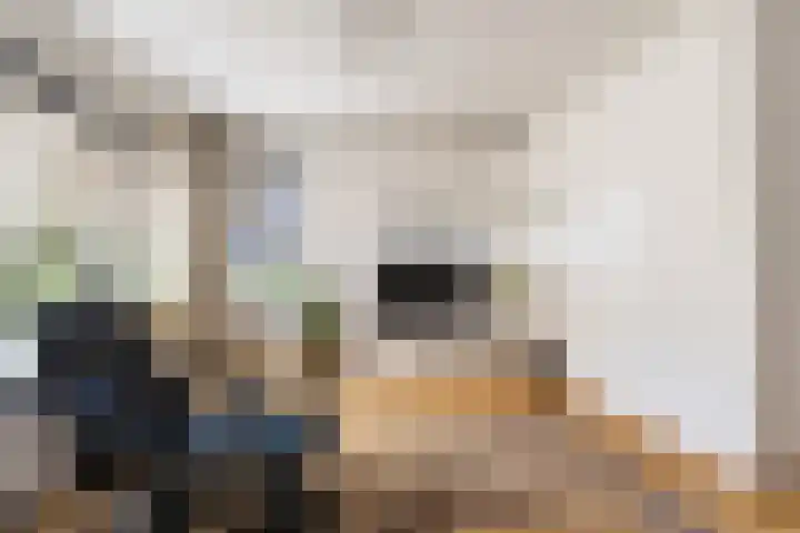 Nachtegaal 37 Wijk bij Duurstede thumbnail 20