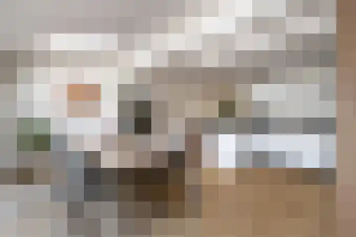 Nachtegaal 37 Wijk bij Duurstede thumbnail 26