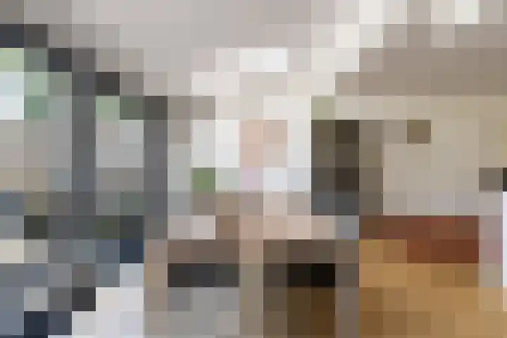 Nachtegaal 37 Wijk bij Duurstede thumbnail 27