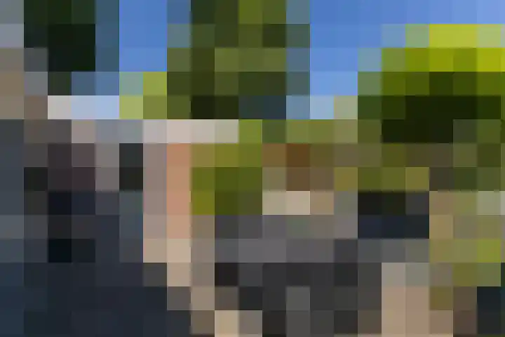Nachtegaal 37 Wijk bij Duurstede thumbnail 37