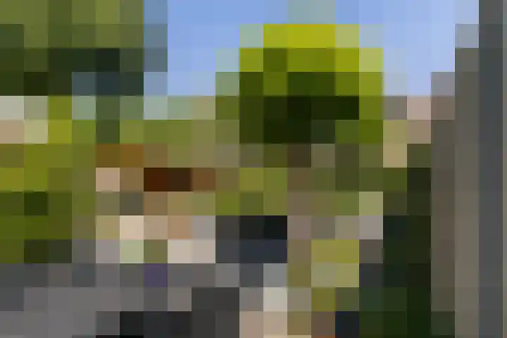 Nachtegaal 37 Wijk bij Duurstede thumbnail 38
