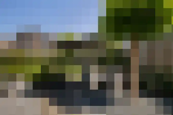 Nachtegaal 37 Wijk bij Duurstede thumbnail 39