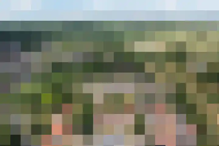 Nachtegaal 37 Wijk bij Duurstede thumbnail 4