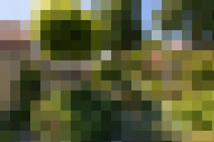 Nachtegaal 37 Wijk bij Duurstede thumbnail 41