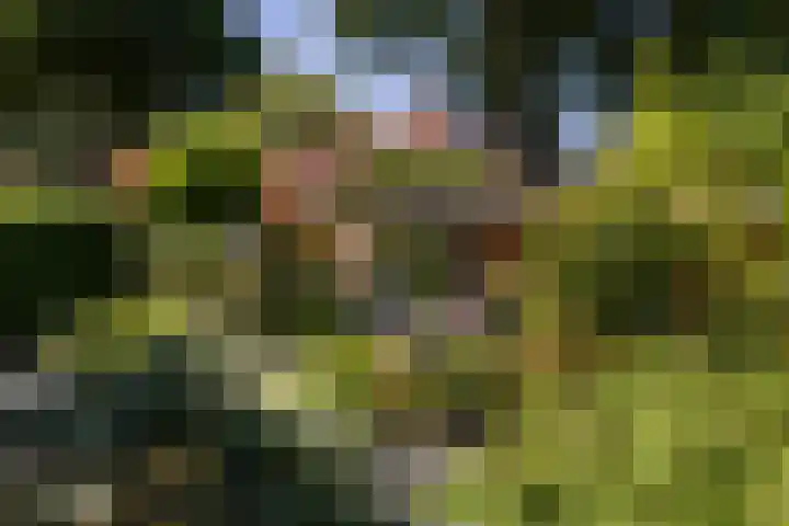 Nachtegaal 37 Wijk bij Duurstede thumbnail 42