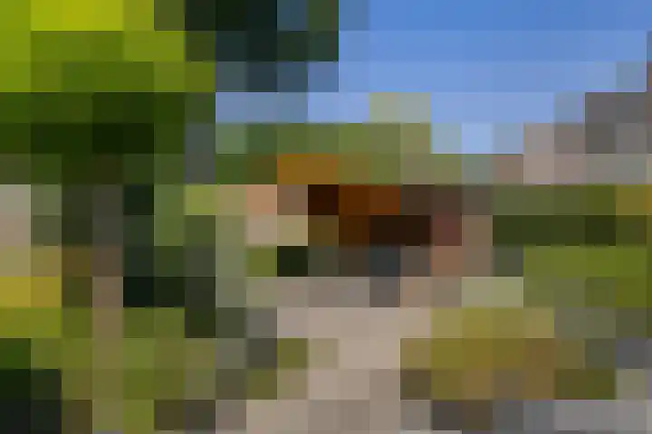 Nachtegaal 37 Wijk bij Duurstede thumbnail 43