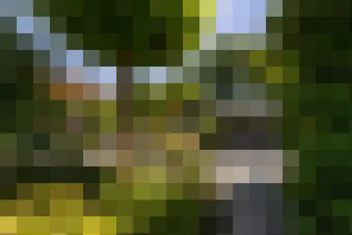 Nachtegaal 37 Wijk bij Duurstede thumbnail 45