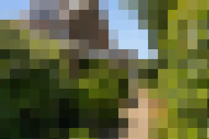 Nachtegaal 37 Wijk bij Duurstede thumbnail 46