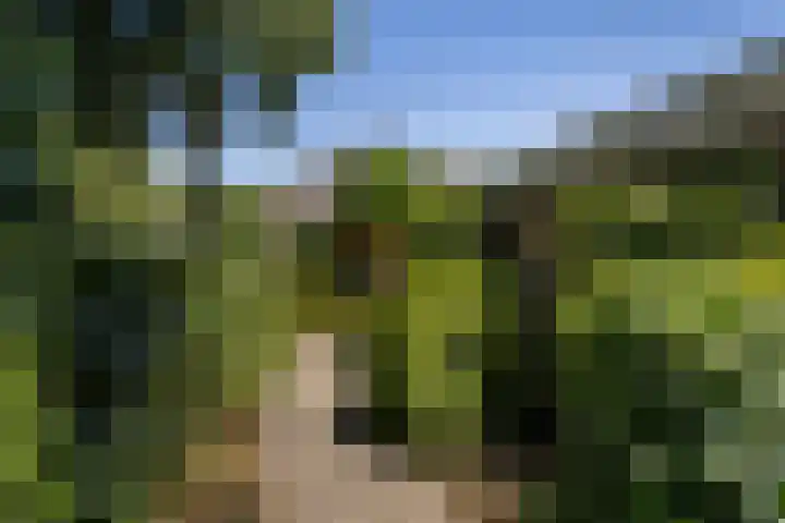 Nachtegaal 37 Wijk bij Duurstede thumbnail 47