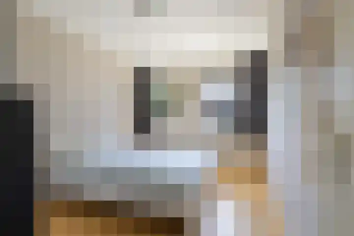Nachtegaal 37 Wijk bij Duurstede thumbnail 49