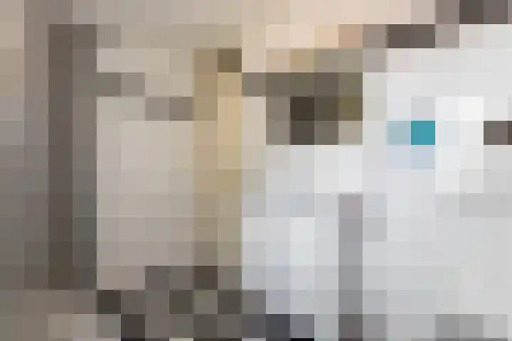 Nachtegaal 37 Wijk bij Duurstede thumbnail 53