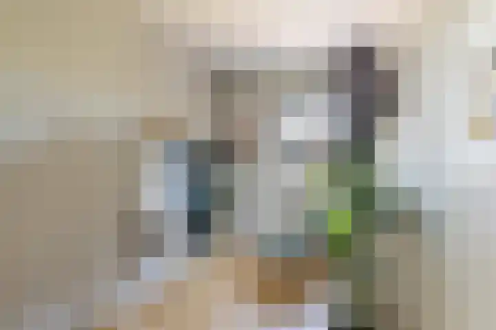 Nachtegaal 37 Wijk bij Duurstede thumbnail 56