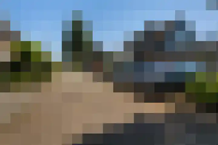 Nachtegaal 37 Wijk bij Duurstede thumbnail 67