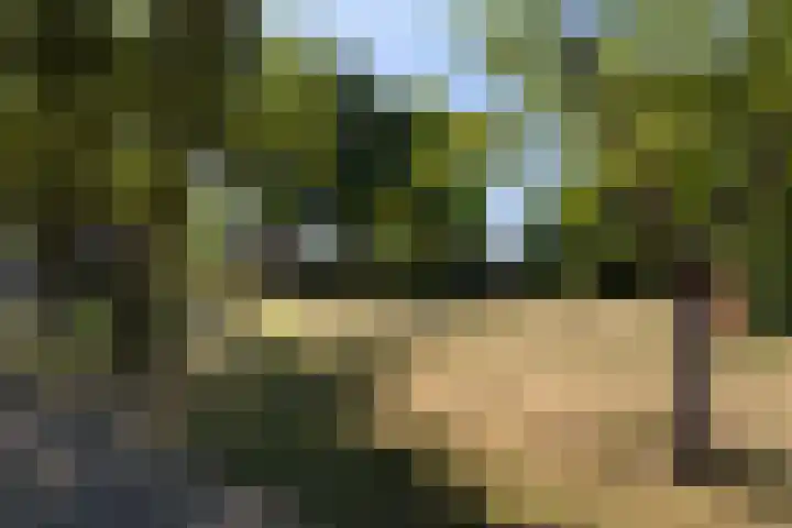Nachtegaal 37 Wijk bij Duurstede thumbnail 68