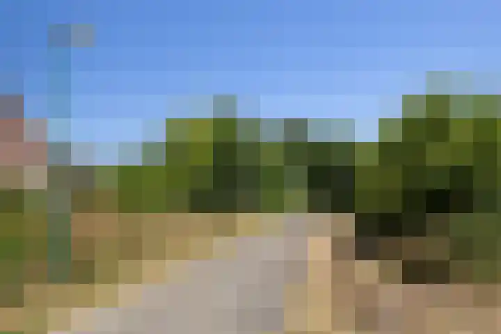 Nachtegaal 37 Wijk bij Duurstede thumbnail 69