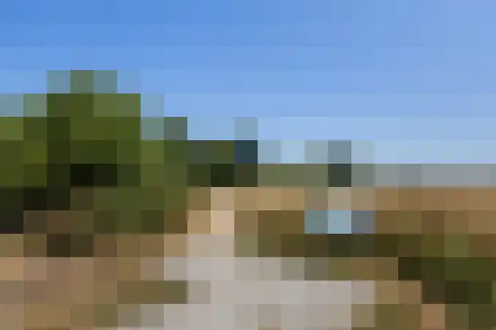 Nachtegaal 37 Wijk bij Duurstede thumbnail 70