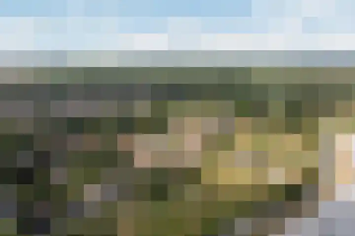 Nachtegaal 37 Wijk bij Duurstede thumbnail 71