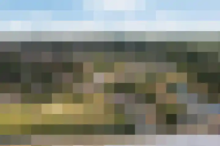 Nachtegaal 37 Wijk bij Duurstede thumbnail 72