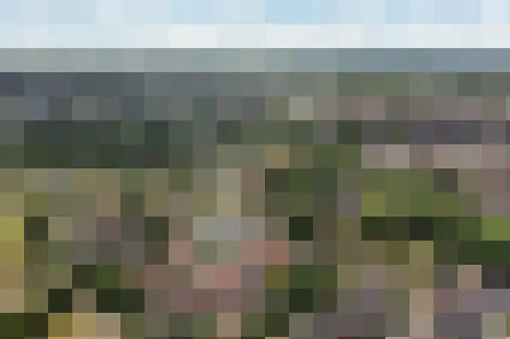 Nachtegaal 37 Wijk bij Duurstede thumbnail 73