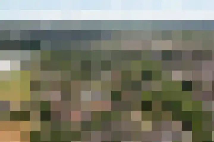 Nachtegaal 37 Wijk bij Duurstede thumbnail 74