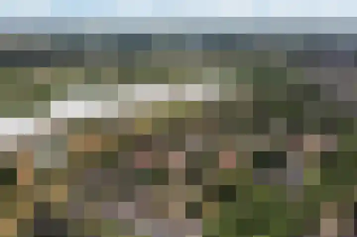 Nachtegaal 37 Wijk bij Duurstede thumbnail 75