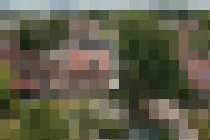 Nachtegaal 37 Wijk bij Duurstede thumbnail 79