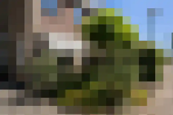 Nachtegaal 37 Wijk bij Duurstede thumbnail 9