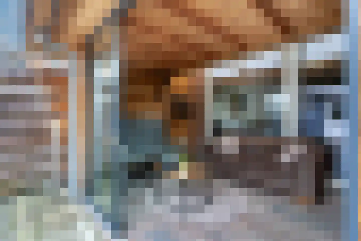 Nachtegaal 4 Nieuwegein thumbnail 10