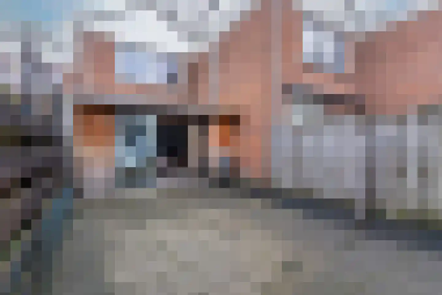 Nachtegaal 4 Nieuwegein thumbnail 12