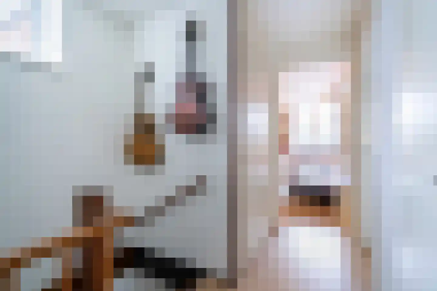 Nachtegaal 4 Nieuwegein thumbnail 22