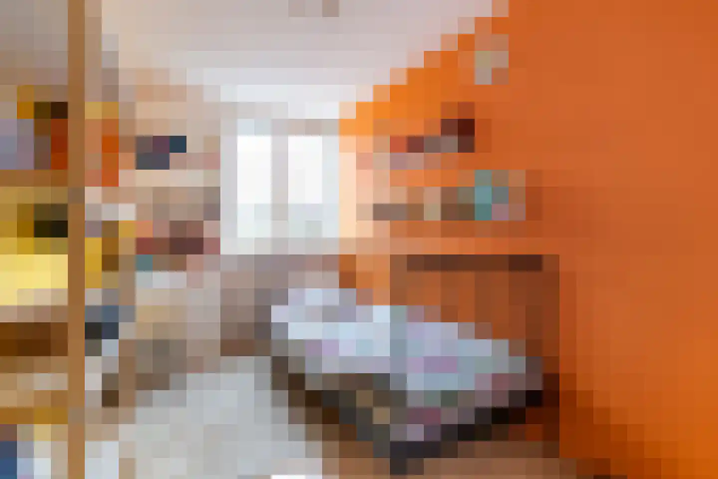 Nachtegaal 4 Nieuwegein thumbnail 23