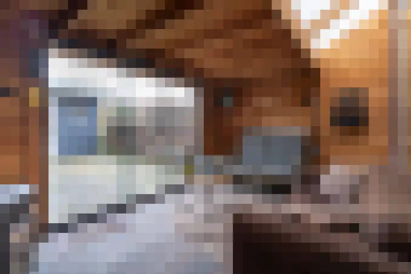 Nachtegaal 4 Nieuwegein thumbnail 8