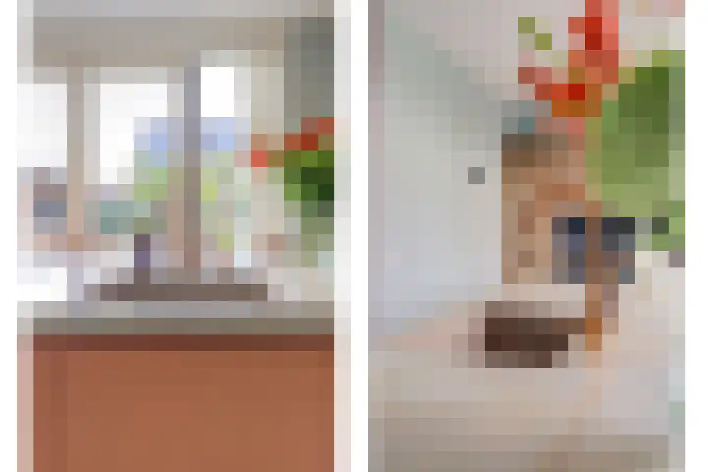 Nachtegaal 4 Vlijmen thumbnail 10