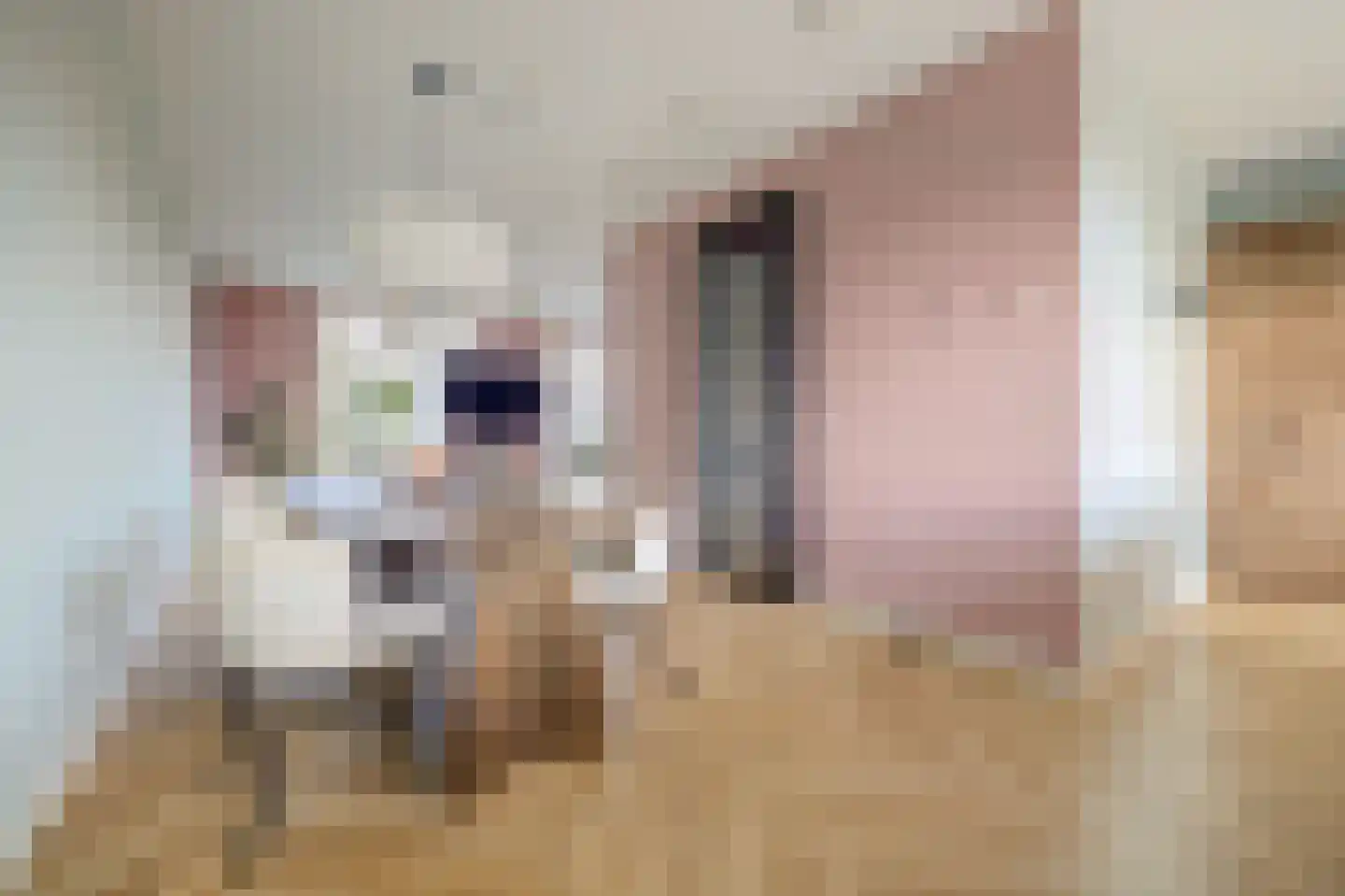 Nachtegaal 4 Vlijmen thumbnail 11