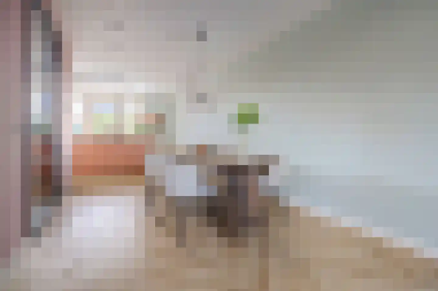 Nachtegaal 4 Vlijmen thumbnail 12